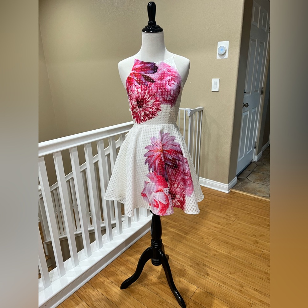 Ginger Fizz Mondo Bloom Print Dress in Gingham Size 6 NWT